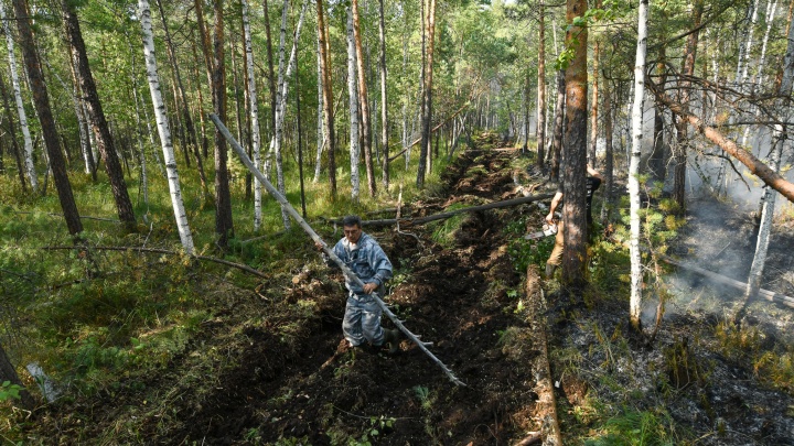 Около 8 тысяч га лесных земель в Югре пострадали от пожаров