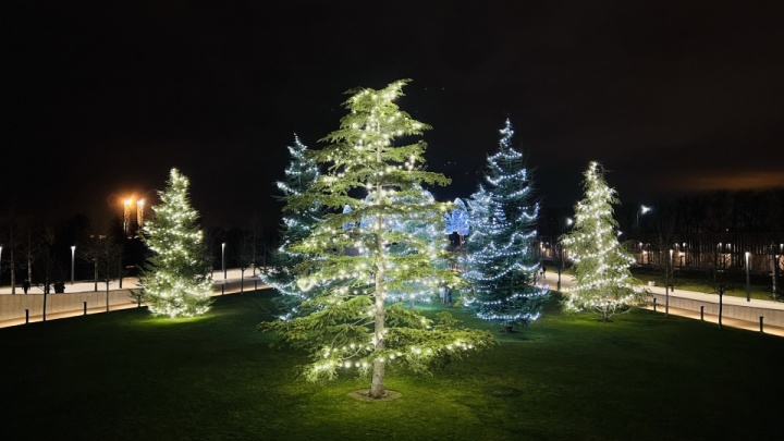 Парк «Краснодар» украсили зеркалами-фонариками накануне Нового года