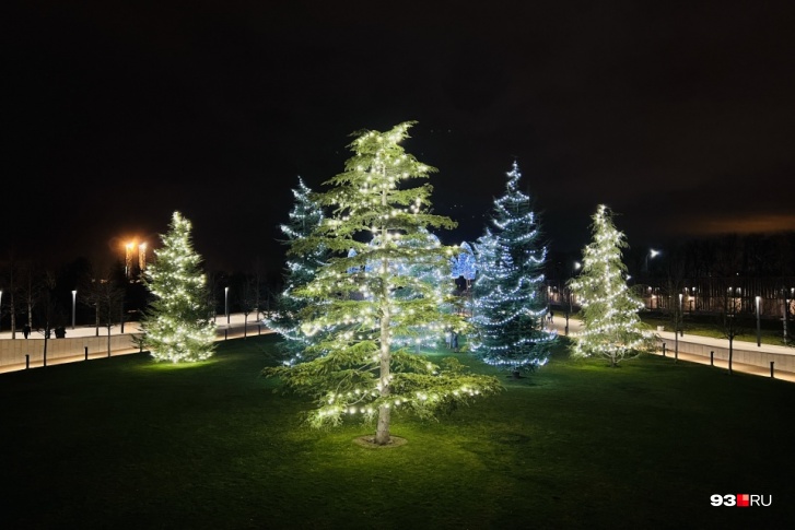 В парке и так светится буквально каждое дерево