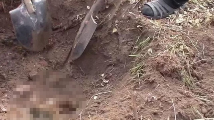 В Каневском районе женщина родила мертвую дочь и закопала тело в лесу
