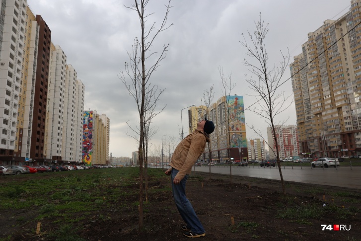 Тема озеленения в Челябинске вызывает бурные эмоции
