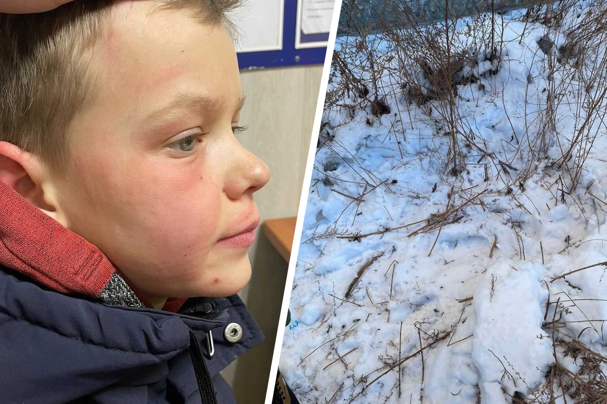 В Екатеринбурге мужчина избил 8-летнего мальчика за то, что тот случайно попал в него снежком