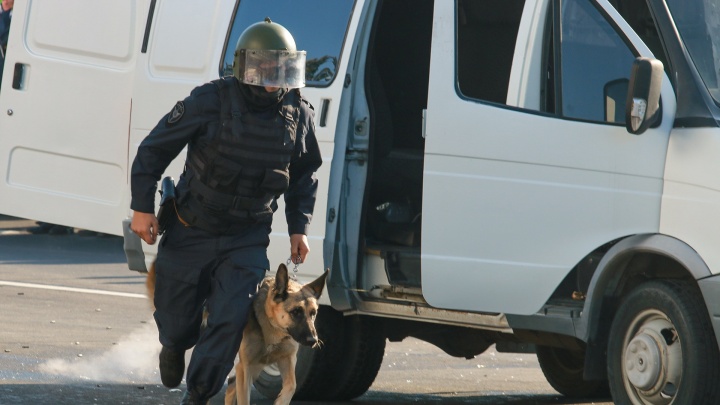 В Ростове забраковали 9 тонн корма для полицейских собак
