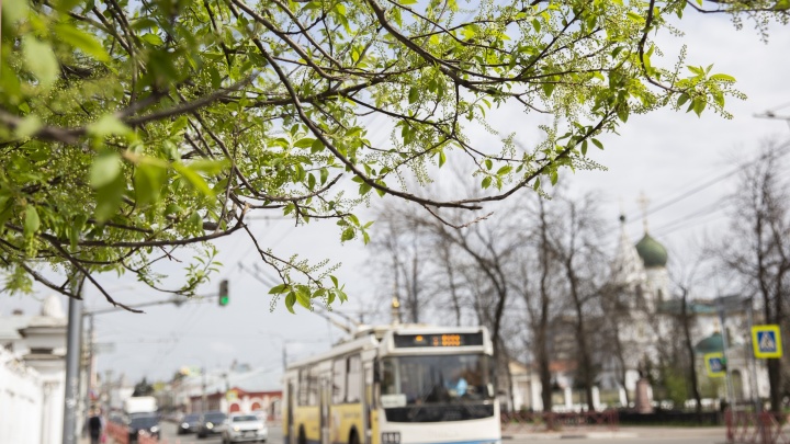 «Погодный тренд начнет меняться»: метеорологи рассказали, когда в Ярославль вернется весеннее тепло