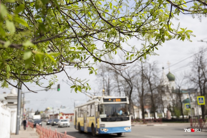 Вторая половина апреля в Ярославле обещает быть теплой Вторая половина апреля в Ярославле обещает быть теплой
