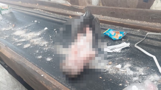 В Башкирии на мусорном заводе нашли мертвого младенца