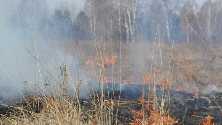 Почти 600 гектаров леса горит в Приангарье, по данным на 3 мая — в 2 раза больше, чем сутками ранее