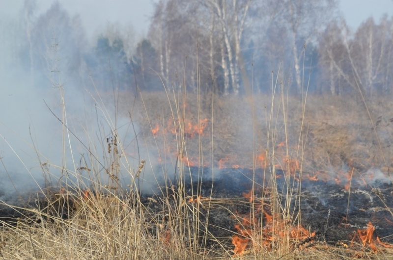 Почти 600 гектаров леса горит в Приангарье 3 мая