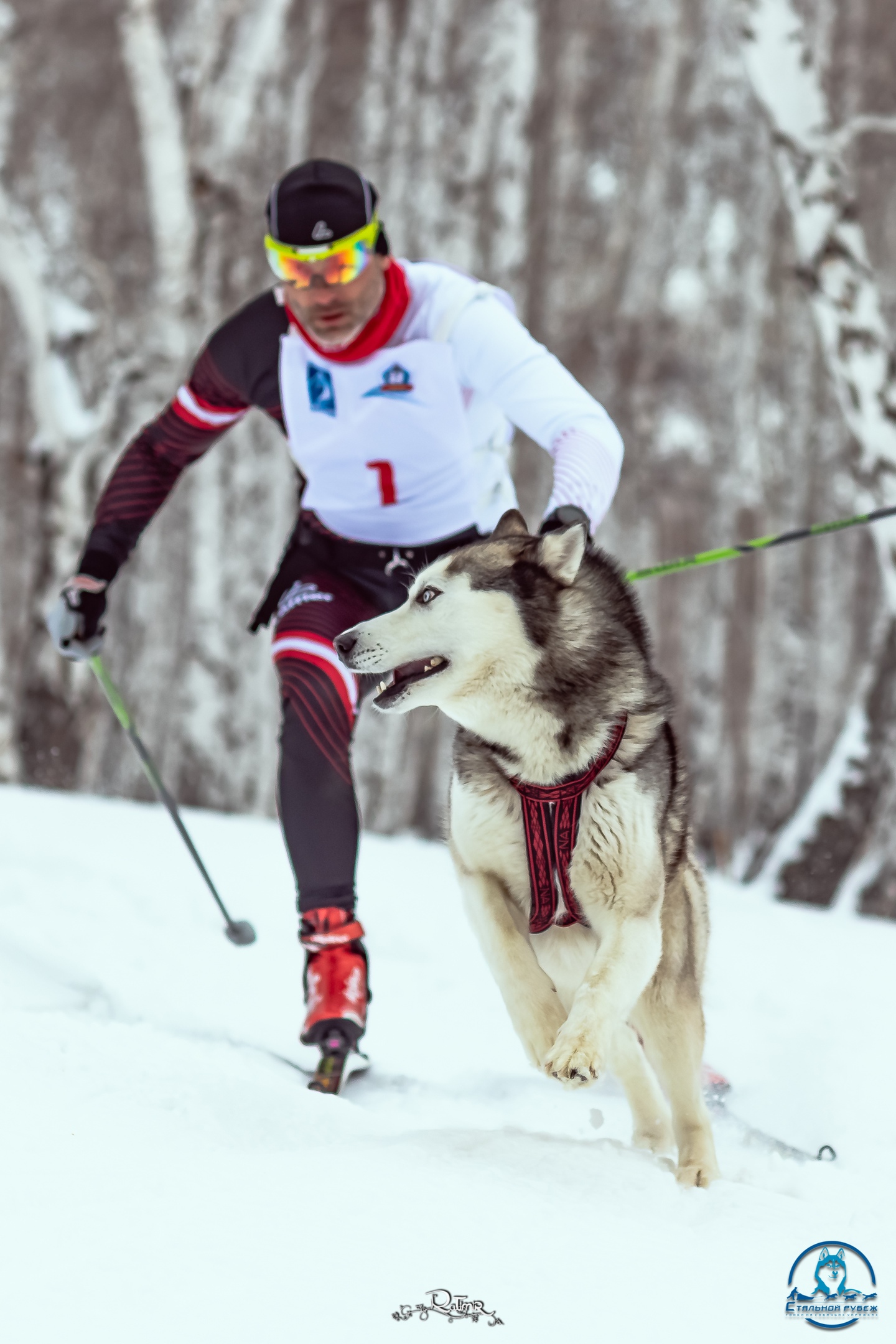 Александр и его четвероногий друг Грей были чемпионами по ездовому спорту на собаках. Из-за серьезных травм и гибели любимца 33-летний мужчина остался без работы Александр и его четвероногий друг Грей были чемпионами по ездовому спорту на собаках. Из-за серьезных травм и гибели любимца 33-летний мужчина остался без работы