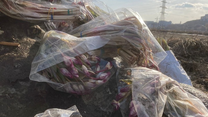 В Артемовских лугах жительница обнаружила свалку букетов из тюльпанов