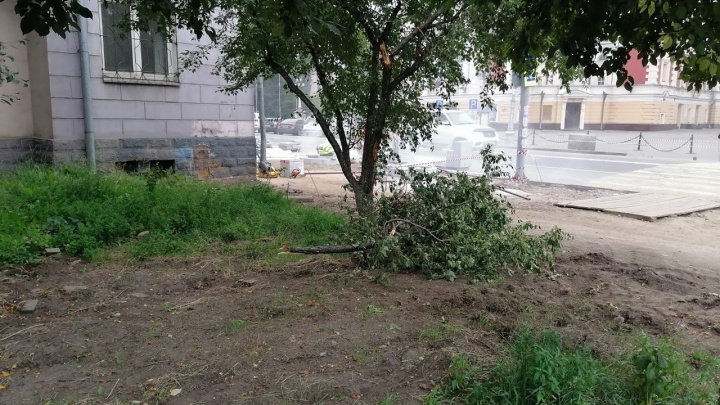 Рабочие во время ремонта на Карла Маркса в Иркутске сломали яблоню. Ранее они снесли панно о Байкале