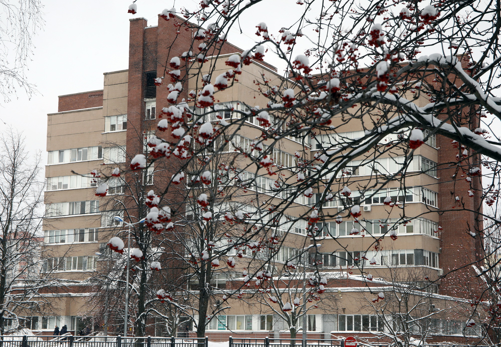 сикейроса санкт петербург