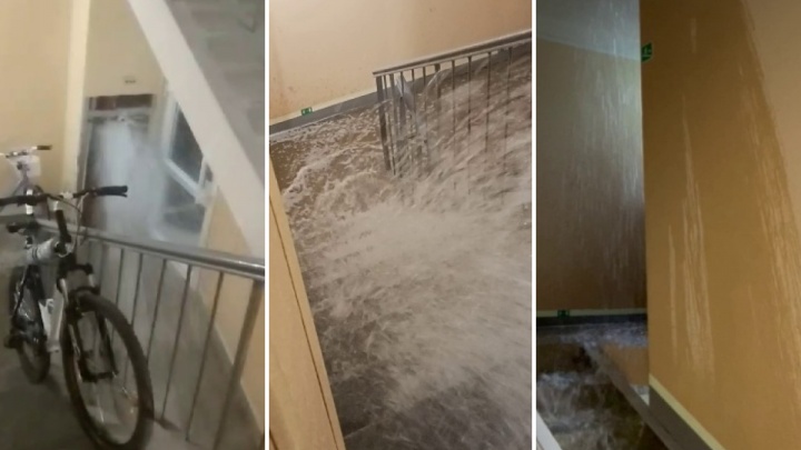 В ЖК «Медовый» затопило пять этажей: второй раз за месяц там прорвало трубу ливневки (впечатляющее видео)