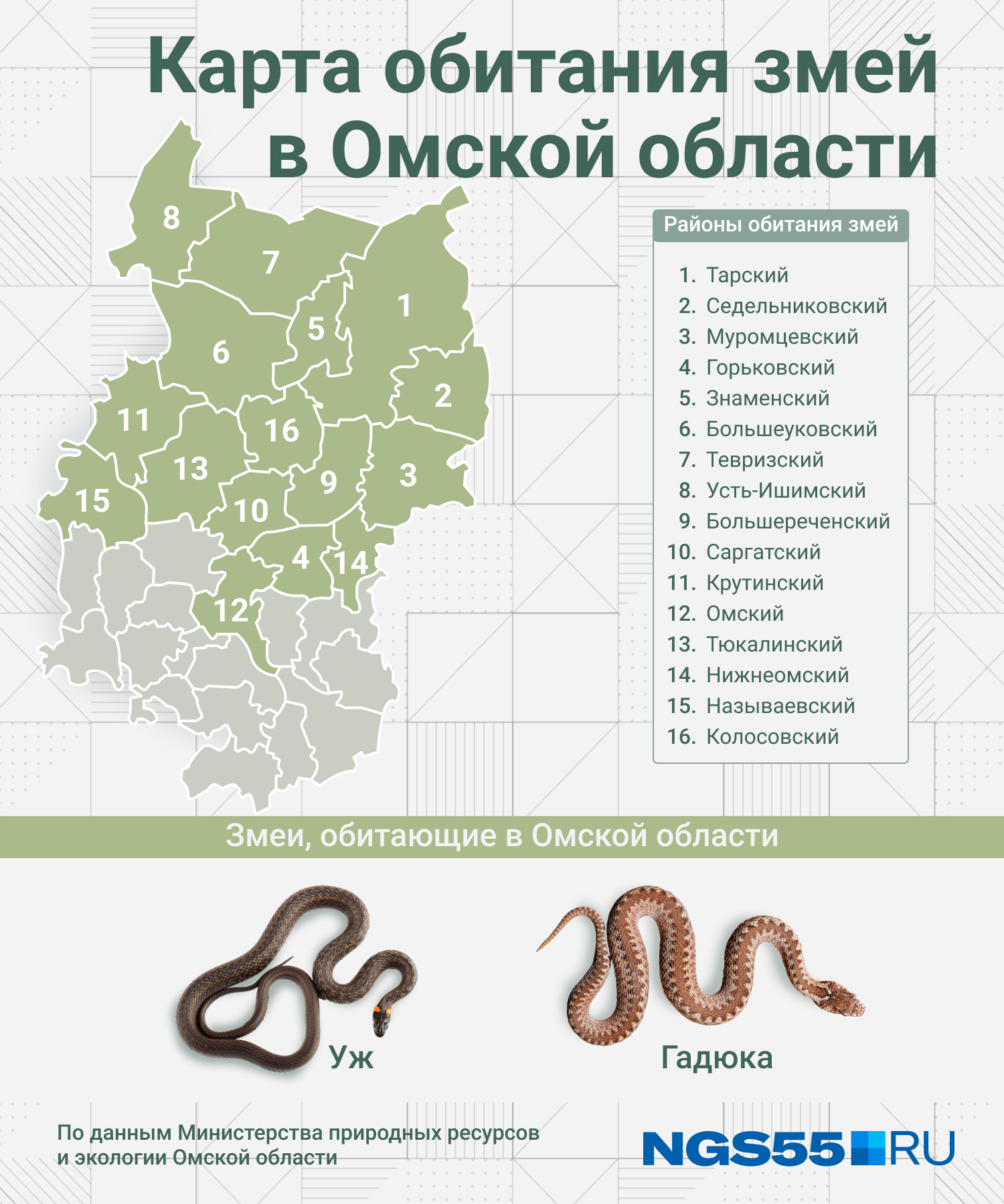В каких районах обитаешь. Карта обитания змей. Змеи в Омской области. Змеи в марийских лесах. Где водятся змеи в России.