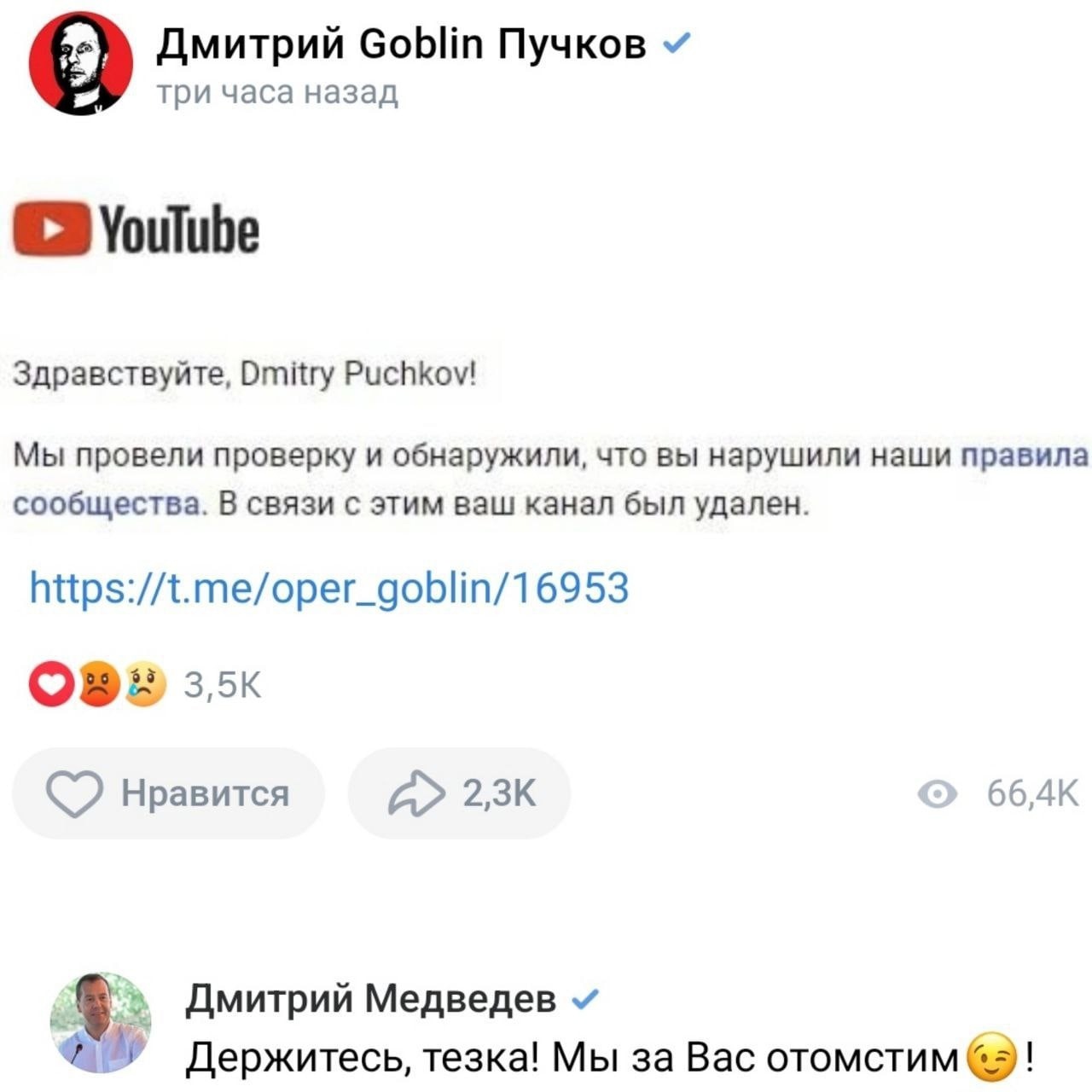 «Держитесь, тёзка!» Дмитрий Медведев пообещал отомстить за блокировку канала Гоблина Пучкова