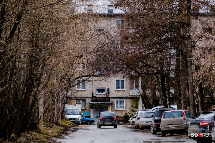 Специалисты МЧС напоминают: если на улице ветер, не стоит парковать машины под деревьями Специалисты МЧС напоминают: если на улице ветер, не стоит парковать машины под деревьями