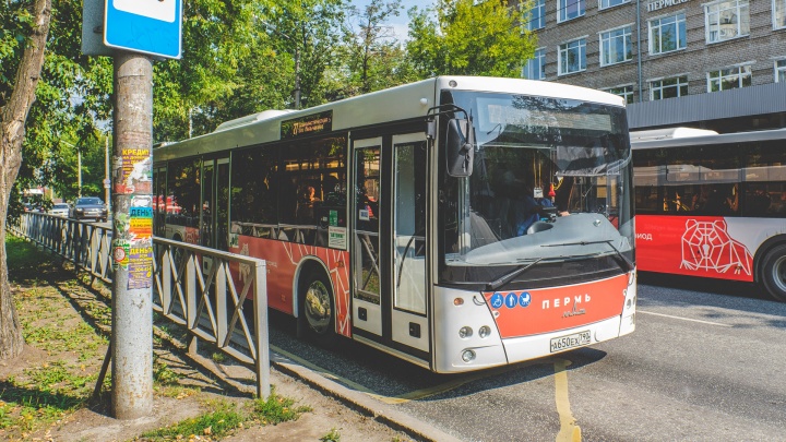 В Перми с 11 июля изменят три автобусных маршрута из-за завершения ремонта КамГЭС