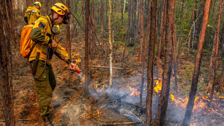 Лесные пожары в Приангарье начали тушить с помощью взрывных работ