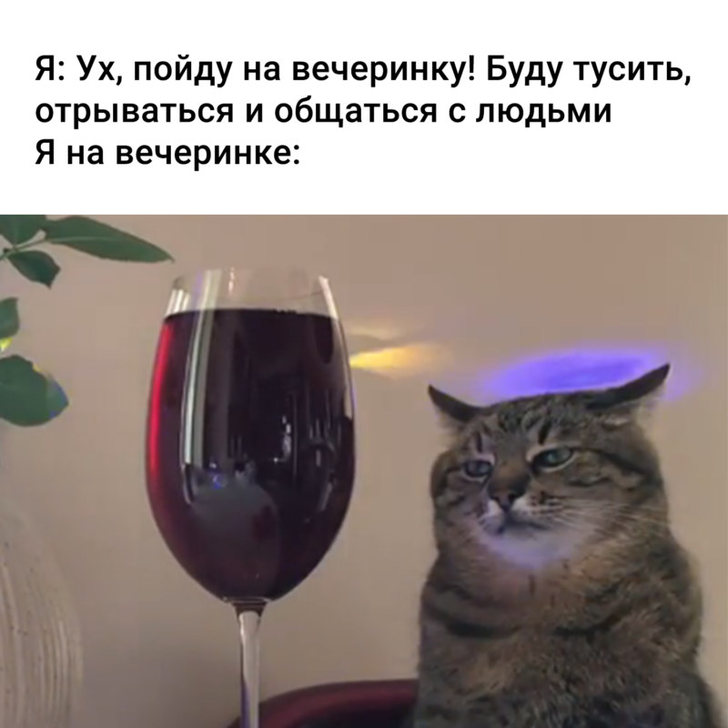 Лучшие мемы уходящего 2021 года: топ мемов | 63.ru - новости Самары