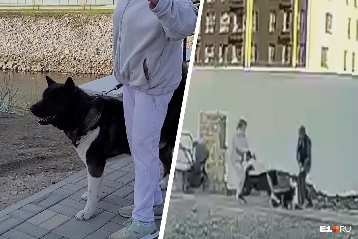 «Держит в страхе весь район»: екатеринбуржцы жалуются на женщину с агрессивной собакой