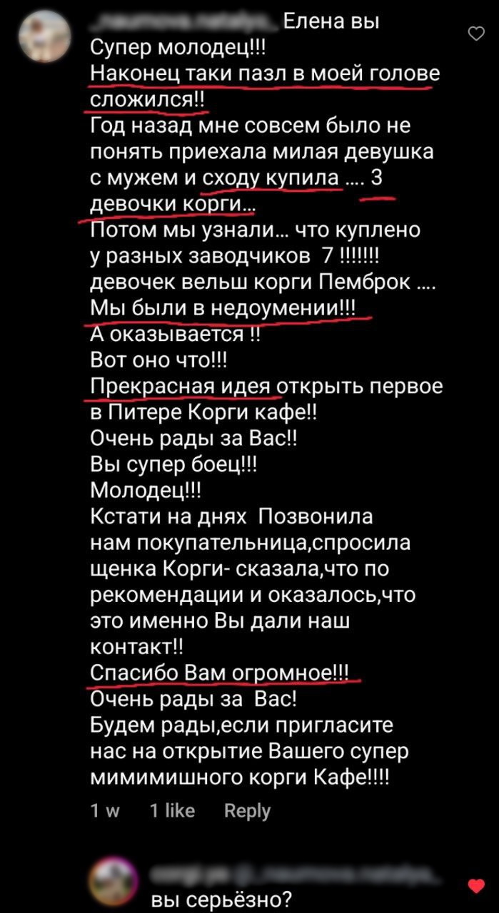 Белоснежка и семь корги. Владелица закрытого антикафе с собаками видит  чужой интерес в травле ее проекта | 31.08.2022 | Санкт-Петербург -  БезФормата