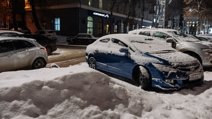 «Как бы нам не пришлось всем городом выходить и убирать снег»: мэр Новокузнецка — о ночном снегопаде