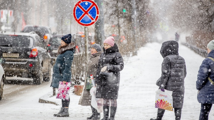 Порывистый ветер и еще один снегопад: метеорологи рассказали, как будет меняться погода в Ярославле