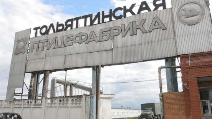 «Тольяттинскую птицефабрику» продали на торгах