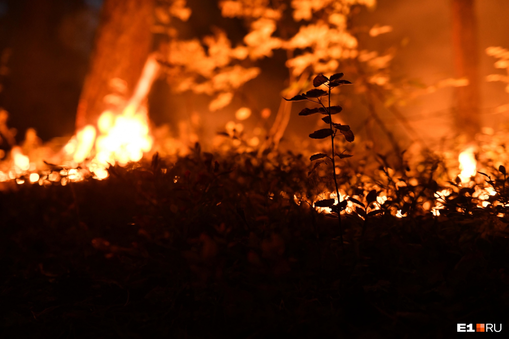 Режим ЧС ввели в Катангском районе из-за лесных пожаров