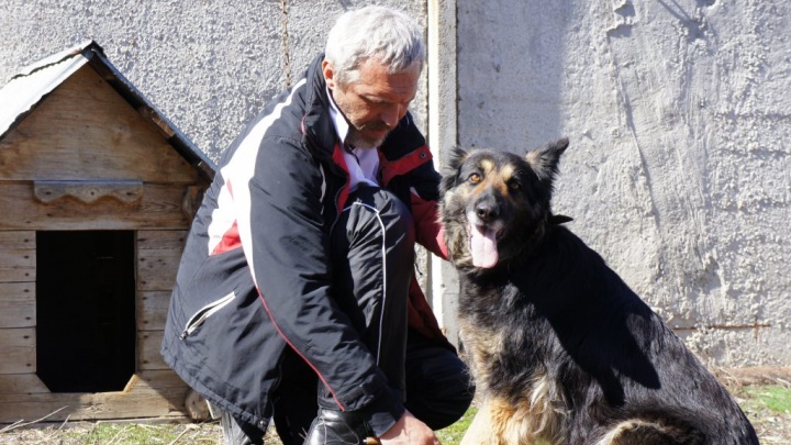 Спасатели рассказали трогательную историю собаки, прибывшей в Уфу с Украины