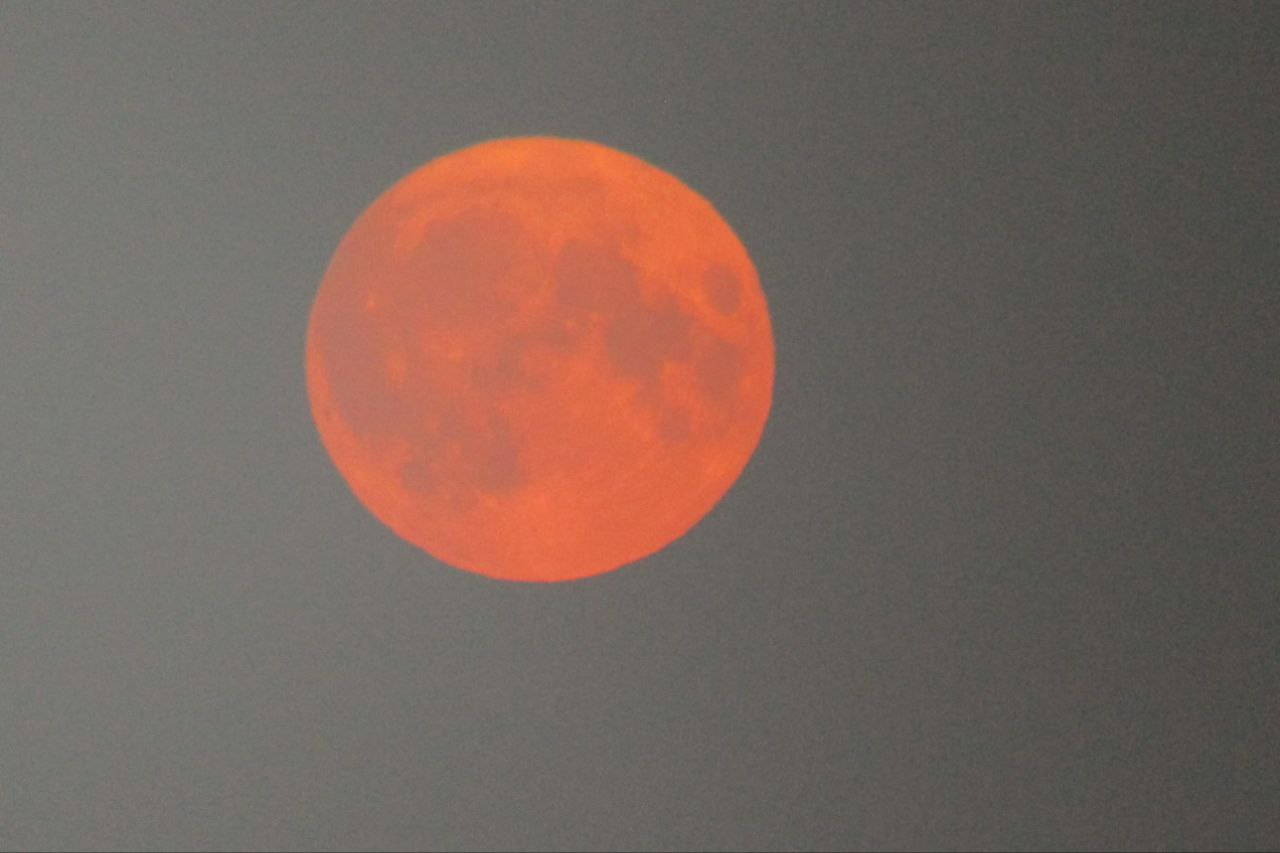 Розовая луна 2024. Красная Луна. Суперлуние. Большая красная Луна. Суперлуние фото.
