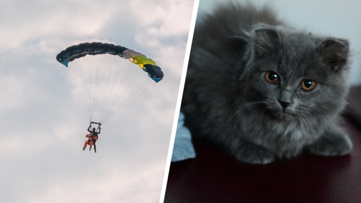 От прыжка с парашютом до браслета с гравировкой: 10 идей подарков на День всех влюбленных