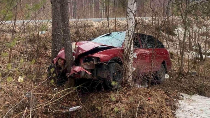 В Северодвинске пьяный водитель въехал в дерево. В аварии пострадали четыре человека