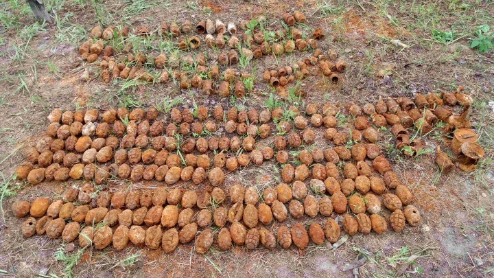 Могли взорваться: в одном из районов Зауралья нашли около 300 снарядов и мин