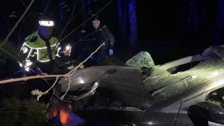 «Водитель скончался на месте». На Урале черный Ford Mondeo на скорости врезался в дерево