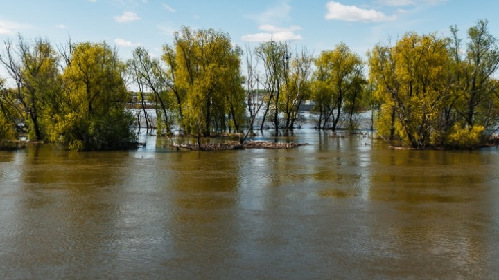 На озере в Тюменской области утонул пожилой мужчина