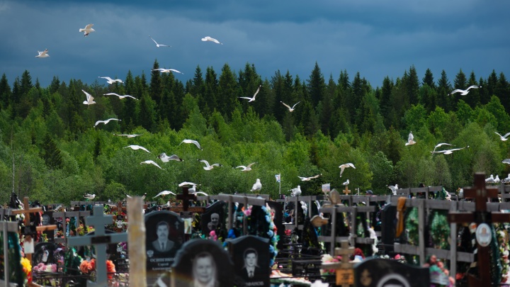 Вандалы разгромили кладбище в Введенщине Шелеховского района. Пострадало более 40 памятников
