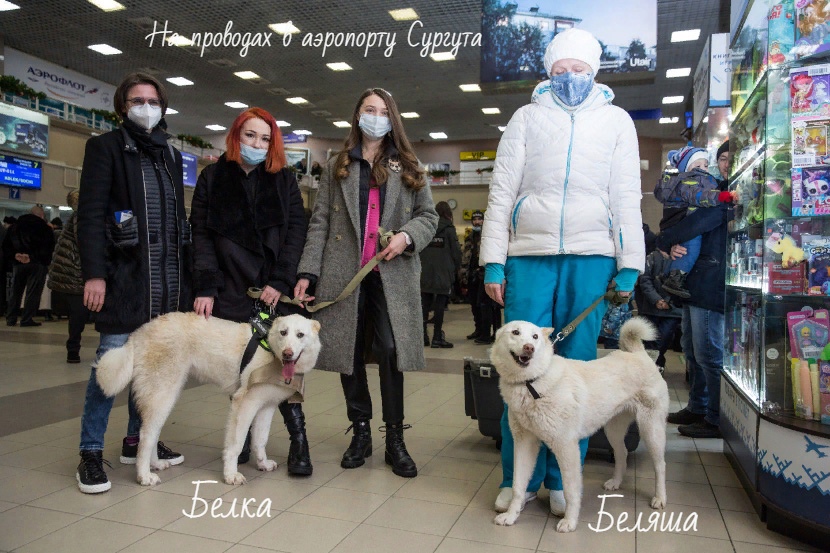 Проводы Белки в Москву Проводы Белки в Москву