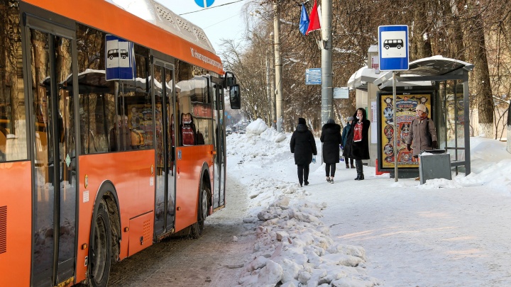 Около тысячи водителей не хватает транспортной отрасли Нижегородской области