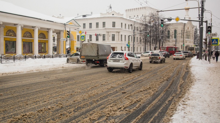 «Неприятные последствия для собак»: в Ярославле дороги будут обрабатывать реагентом «Бионорд»