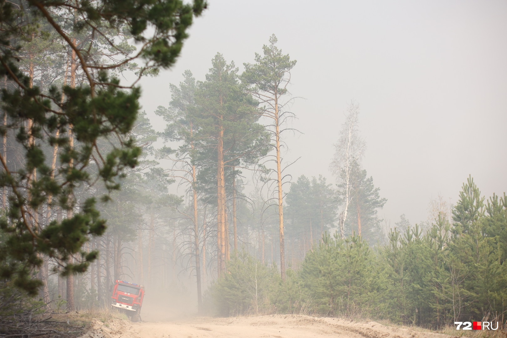 Огонь понесло на восток в сторону Боровского, который в 7 километрах. Пожарные уверены, что смогут справиться с возгоранием