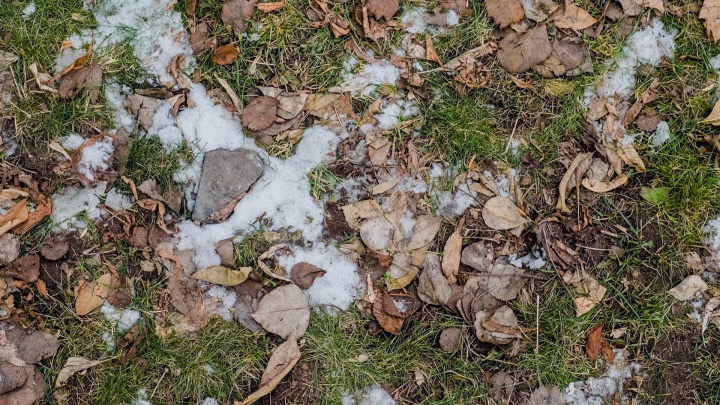 МЧС предупреждает о заморозках по ночам в Прикамье: их ожидают в конце недели