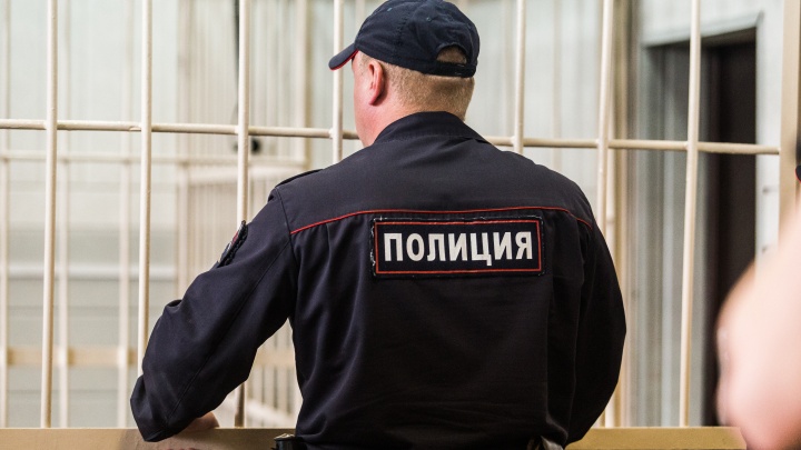 Жителя Новосибирска будут судить за мошенничество при строительстве детских садов и взятку авиабилетами