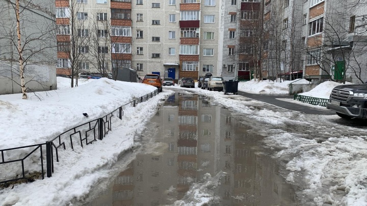 В Сургуте снег на улицах будут убирать и днем и ночью. Жители могут сообщить о кучах снега по телефону 112