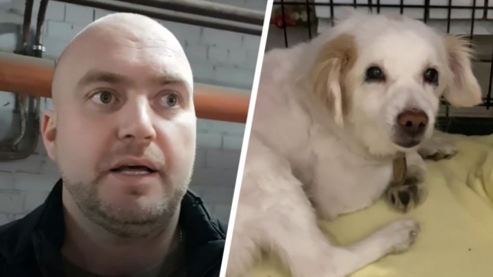 Делом живодера из Академического, избившего собаку в лифте, снова займутся после жалобы на силовиков