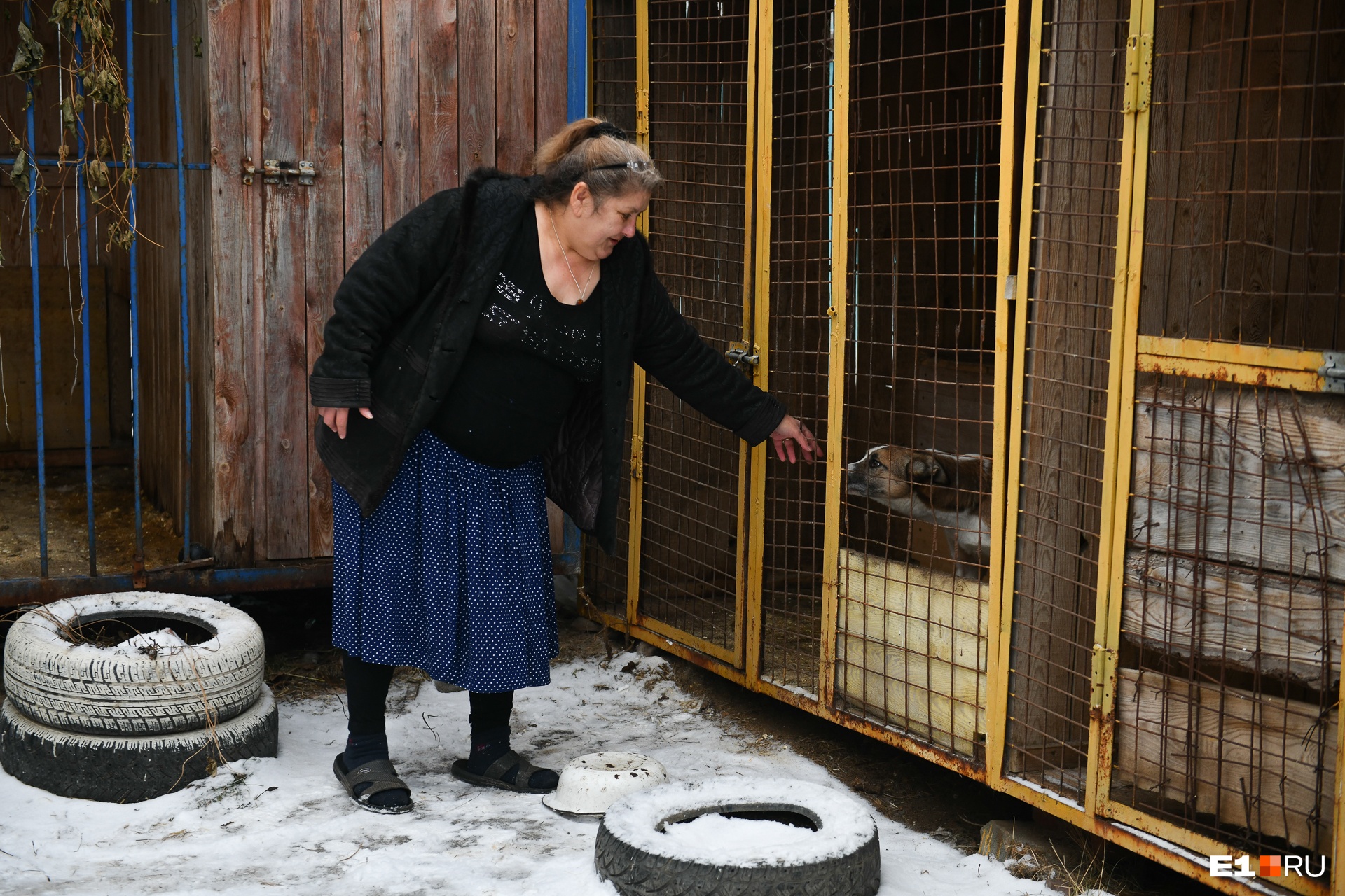 Сейчас хозяйке приюта стало тяжело его содержать из-за состояния здоровья Сейчас хозяйке приюта стало тяжело его содержать из-за состояния здоровья