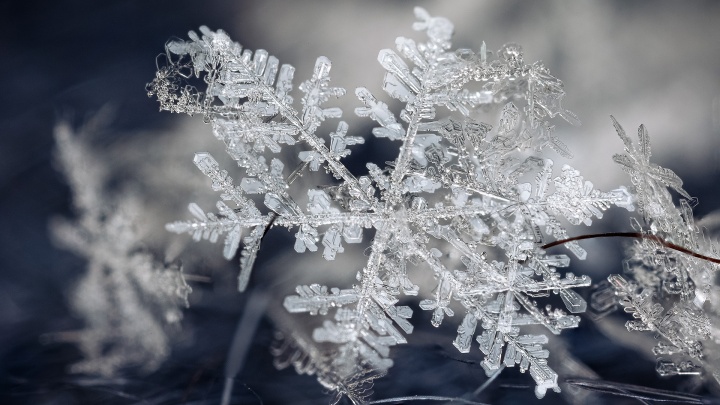 В Кузбассе ожидаются морозы до -34 градусов: синоптики дали прогноз на январь