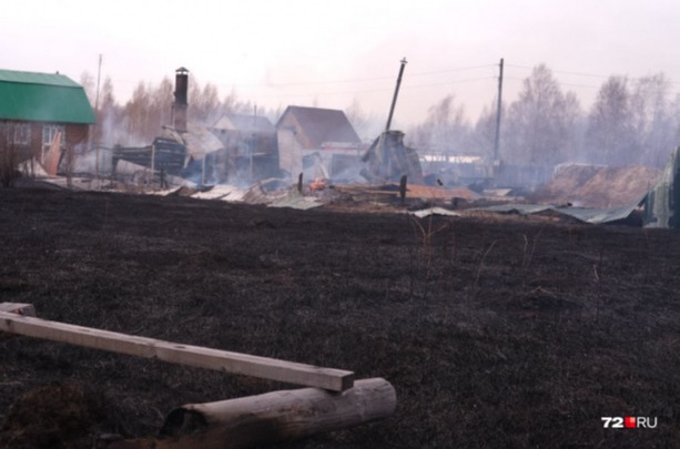 В Тюменской области возбуждено четыре уголовных дела из-за природных пожаров