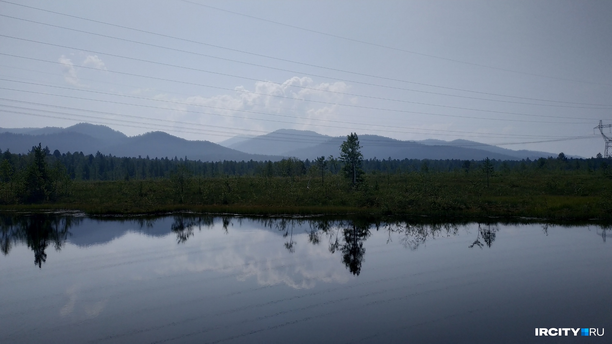 Сплошные вырубки поврежденного леса собираются разрешить на Байкале