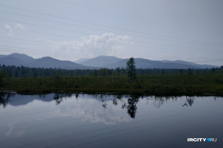 Сплошные вырубки леса предлагают разрешить на Байкале